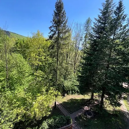 Willa Zielony Swiat Międzybrodzie Bialskie