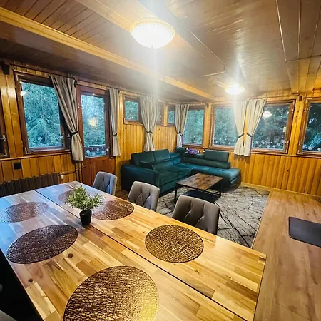 Willa Zielony Swiat * Międzybrodzie Bialskie