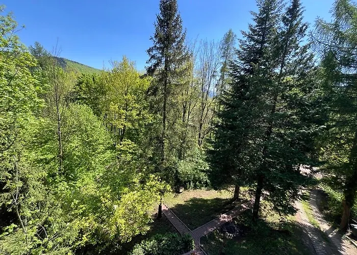 Swiat Międzybrodzie Bialskie